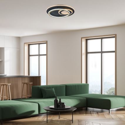 Rabalux - Dimbare LED-plafondlamp LED/60W/230V 3000-6000K Ø 50 cm + afstandsbediening