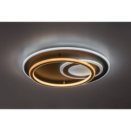 Rabalux - Dimbare LED-plafondlamp LED/60W/230V 3000-6000K Ø 50 cm + afstandsbediening