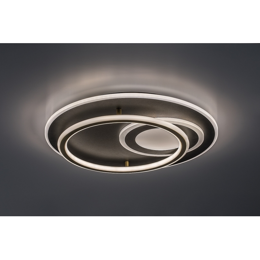Rabalux - Dimbare LED-plafondlamp LED/60W/230V 3000-6000K Ø 50 cm + afstandsbediening