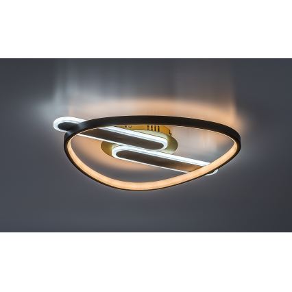 Rabalux - LED dimbare plafondlamp LED/60W/230V 3000-6000K 53x45 cm + afstandsbediening