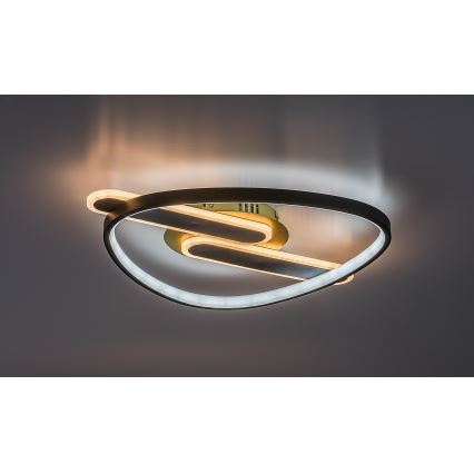 Rabalux - LED dimbare plafondlamp LED/60W/230V 3000-6000K 53x45 cm + afstandsbediening