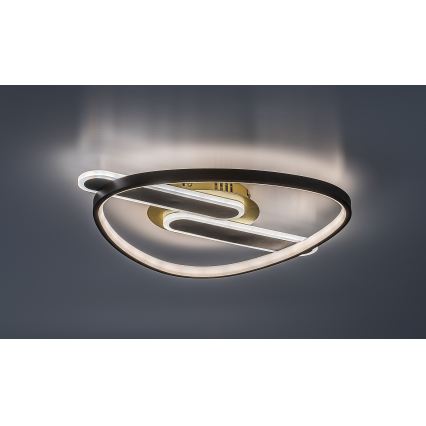 Rabalux - LED dimbare plafondlamp LED/60W/230V 3000-6000K 53x45 cm + afstandsbediening