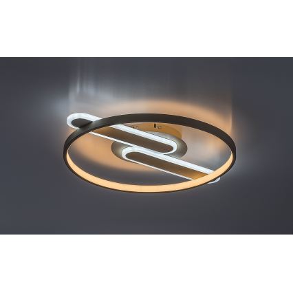 Rabalux - LED-dimbare plafondlamp LED/55W/230V 3000-6000K 53x45 cm + afstandsbediening