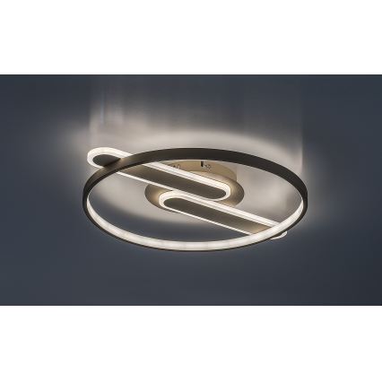Rabalux - LED-dimbare plafondlamp LED/55W/230V 3000-6000K 53x45 cm + afstandsbediening