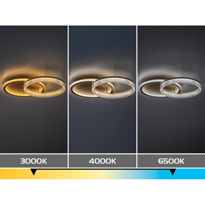 Rabalux - LED-dimbare plafondlamp LED/22W/230V 3000-6500K 53,5x35 cm + afstandsbediening