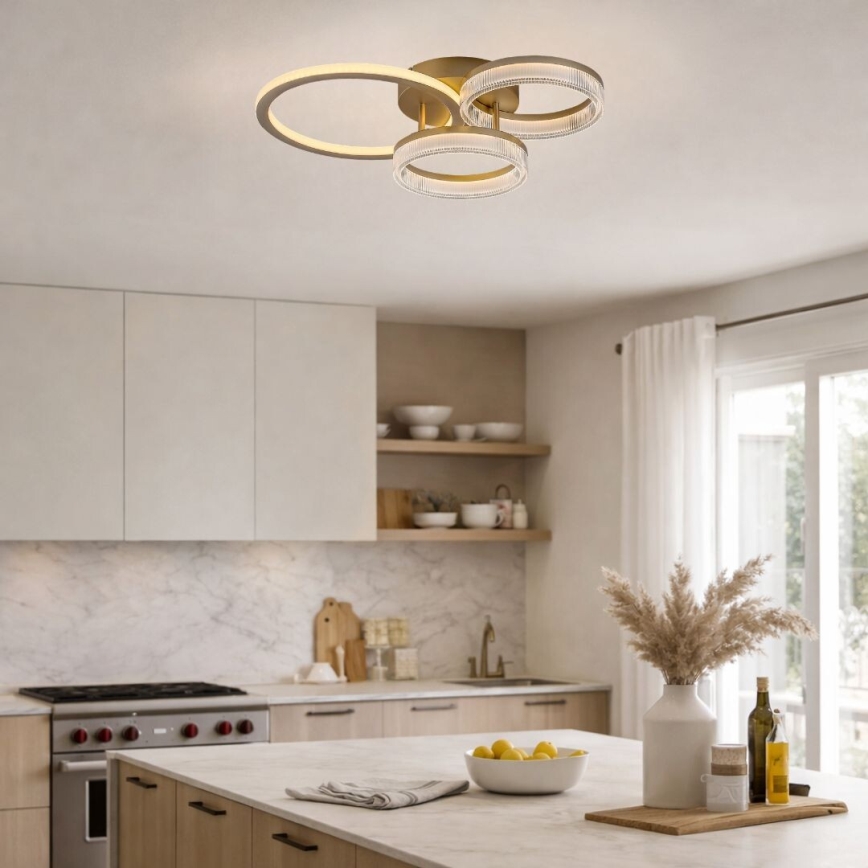 Rabalux - Dimbare LED plafondlamp LED/38W/230V 3000-6500K 58,5x38 cm + afstandsbediening