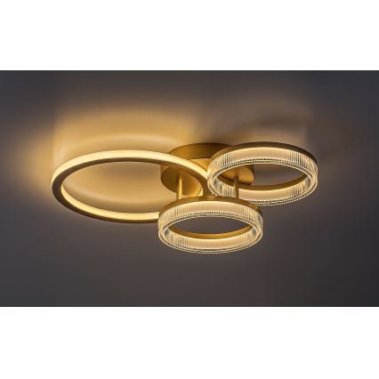 Rabalux - Dimbare LED plafondlamp LED/38W/230V 3000-6500K 58,5x38 cm + afstandsbediening