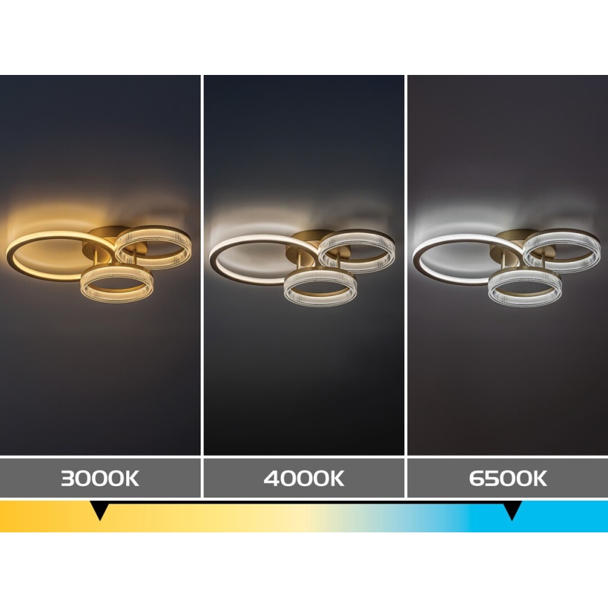Rabalux - Dimbare LED plafondlamp LED/38W/230V 3000-6500K 58,5x38 cm + afstandsbediening