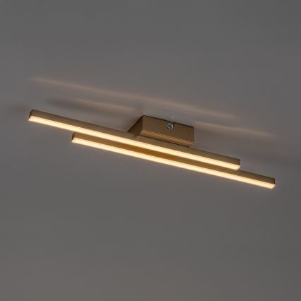 Rabalux - LED plafondlamp LED/12W/230V 3000K goudkleurig
