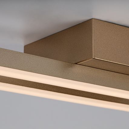 Rabalux - LED plafondlamp LED/12W/230V 3000K goudkleurig