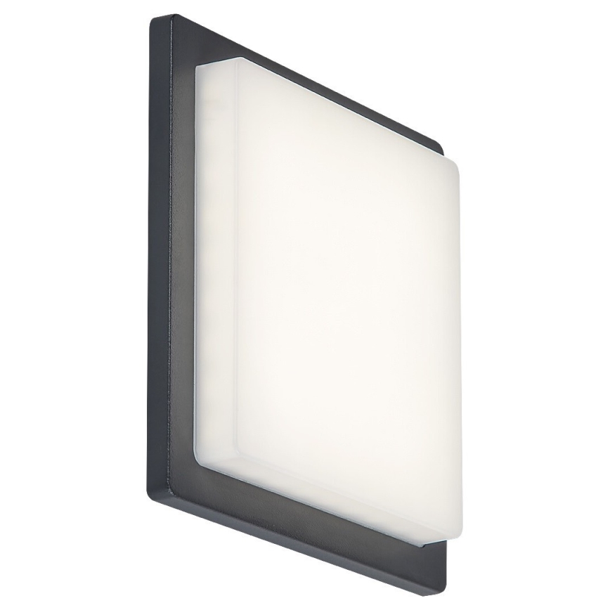 Rabalux - LED Wandlamp voor buiten LED/8W/230V IP65