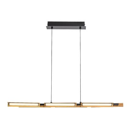 Rabalux - LED Hanglamp aan een koord LED/30W/230V 3000K