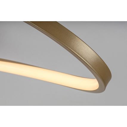 Rabalux - LED Plafondlamp LED/30W/230V 3000K