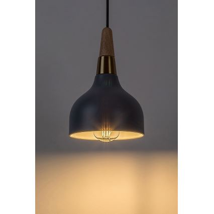 Rabalux - Hanglamp aan een koord 1xE27/40W/230V
