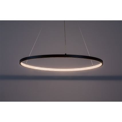 Rabalux - LED-kroonluchter met kabelophanging LED/55W/230V 3000K