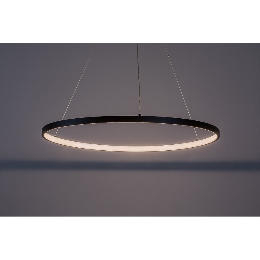 Rabalux - LED-kroonluchter met kabelophanging LED/55W/230V 3000K