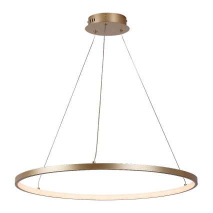Rabalux - LED-kroonluchter met kabel LED/55W/230V 3000K