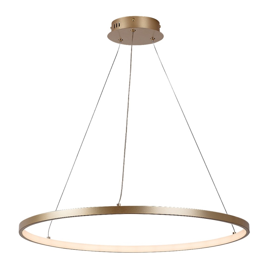 Rabalux - LED-kroonluchter met kabel LED/55W/230V 3000K