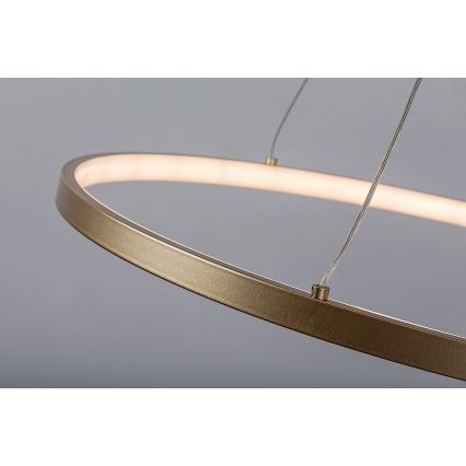 Rabalux - LED-kroonluchter met kabel LED/55W/230V 3000K