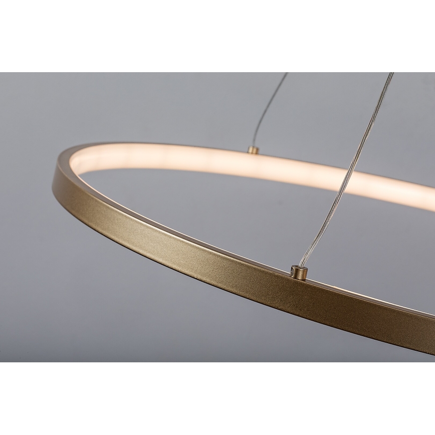 Rabalux - LED-kroonluchter met kabel LED/55W/230V 3000K