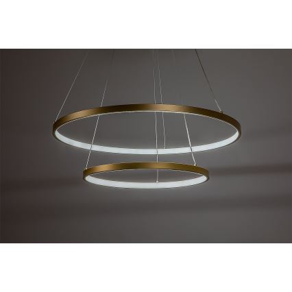 Rabalux - Dimbare LED-hanglamp met kabel LED/75W/230V 3000–6500K inclusief afstandsbediening