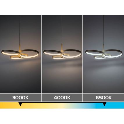 Rabalux - LED dimbare hanglamp aan kabel LED/50W/230V 3000-6500K + afstandsbediening
