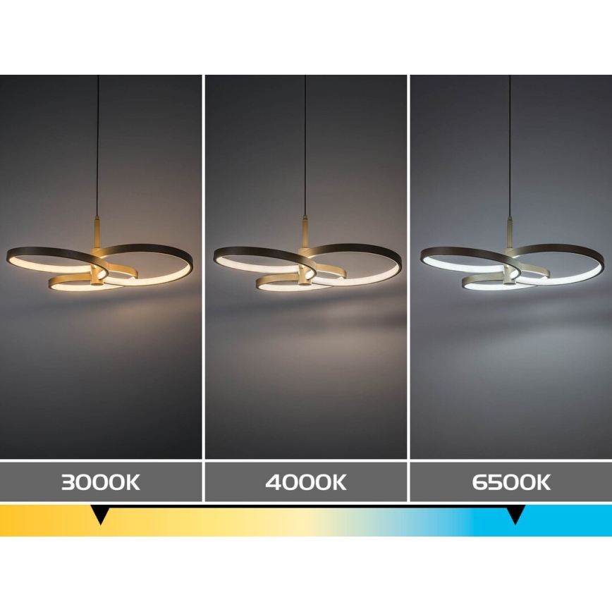 Rabalux - LED dimbare hanglamp aan kabel LED/50W/230V 3000-6500K + afstandsbediening
