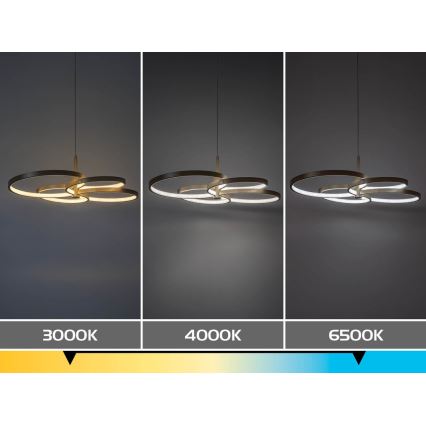 Rabalux - LED dimbare hanglamp aan kabel LED/70W/230V 3000-6500K + afstandsbediening