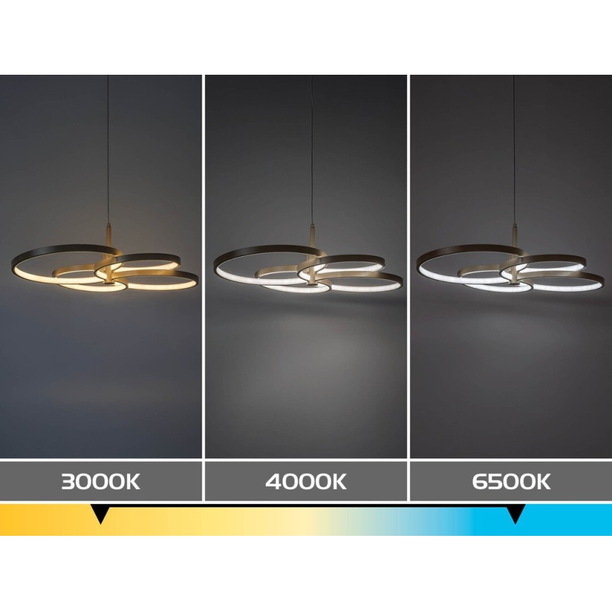 Rabalux - LED dimbare hanglamp aan kabel LED/70W/230V 3000-6500K + afstandsbediening