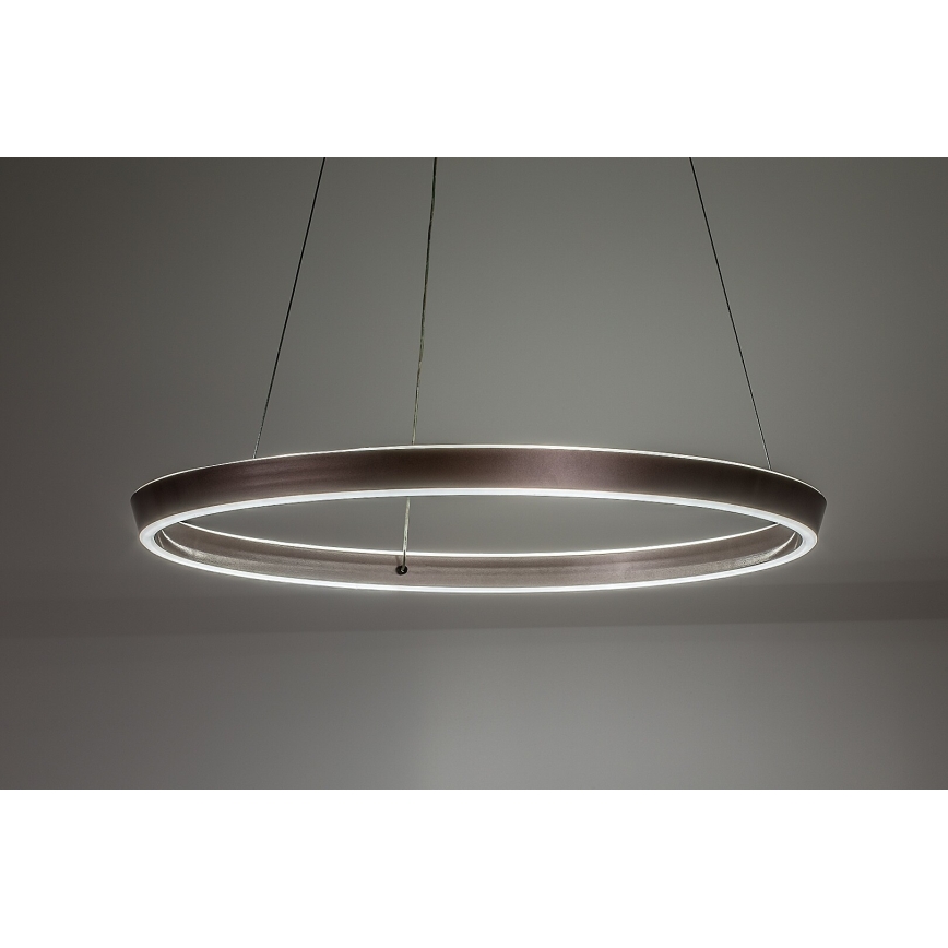Rabalux - Dimbare LED-kabelhanglamp LED/70W/230V 3000-6500K + afstandsbediening