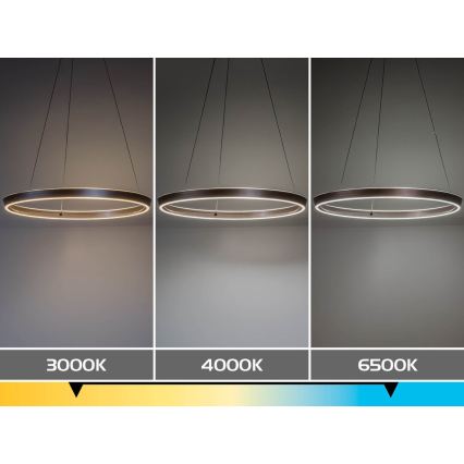 Rabalux - Dimbare LED-kabelhanglamp LED/70W/230V 3000-6500K + afstandsbediening