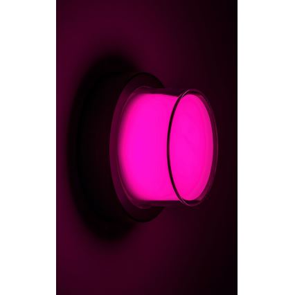 Rabalux - LED RGBW Wandlamp voor buiten LED/10W/230V IP54 Wi-Fi Tuya