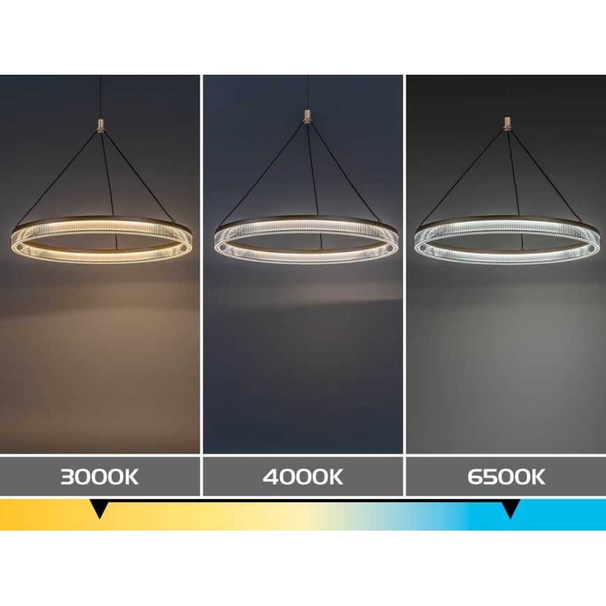 Rabalux - Dimbare LED-hanglamp aan kabel LED/24W/230V 3000-6500K + afstandsbediening