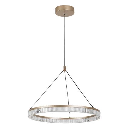 Rabalux - Dimbare LED-hanglamp aan kabel LED/24W/230V 3000-6500K + afstandsbediening
