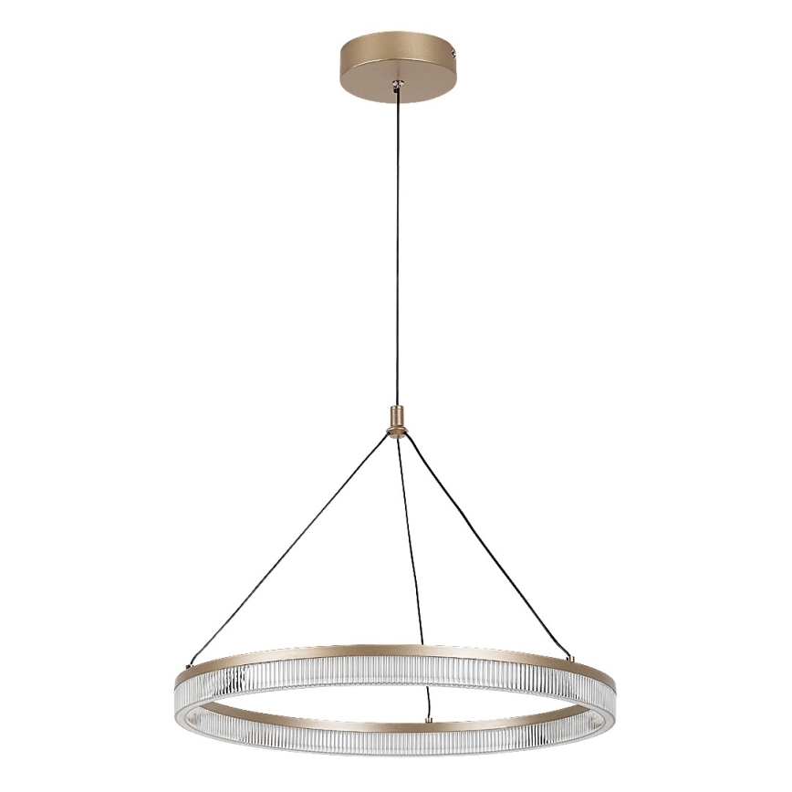 Rabalux - Dimbare LED-hanglamp aan kabel LED/24W/230V 3000-6500K + afstandsbediening