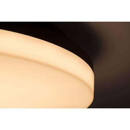 Rabalux - LED-plafondlamp voor de badkamer LED/24W/230V IP54 Ø 28 cm