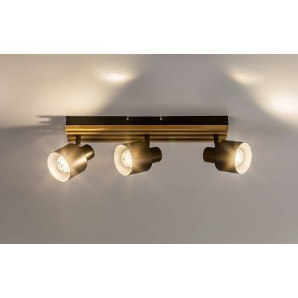 Rabalux - Spotlamp 3xE14/10W/230V