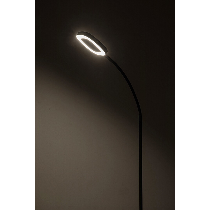 Rabalux - LED Dimbaar aanraken Staande lamp LED/11W/230V 3000K