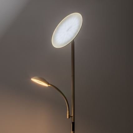 Rabalux - LED dimbare vloerlamp LED/23W/230V 3000/4200/6500 beige
