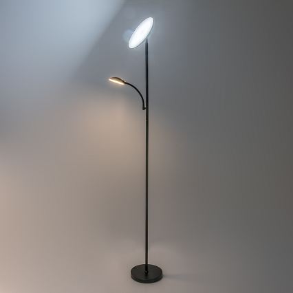 Rabalux - LED Dimbare vloerlamp LED/23W/230V 3000/4200/6500 zwart