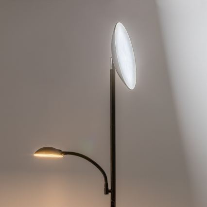 Rabalux - LED Dimbare vloerlamp LED/23W/230V 3000/4200/6500 zwart