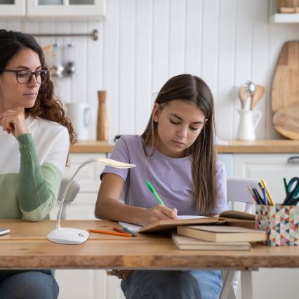 Rabalux - Dimbare flexibele LED-bureaulamp LED/2W/5V wit