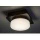 Rabalux - LED Plafondverlichting badkamer LED/5W/230V IP44 4000K zwart