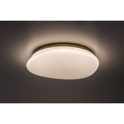 Rabalux - LED-plafondlamp voor de badkamer LED/24W/230V IP44 Ø 41 cm
