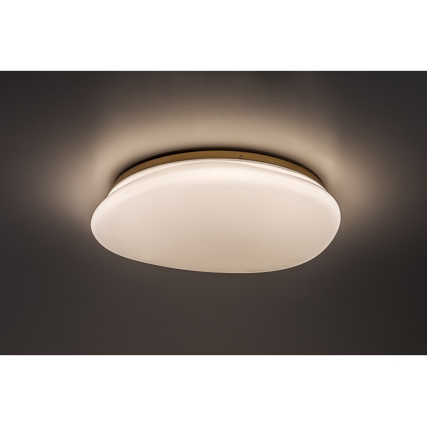 Rabalux - LED-plafondlamp voor de badkamer LED/24W/230V IP44 Ø 41 cm