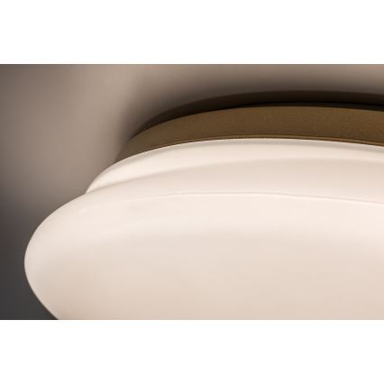 Rabalux - LED-plafondlamp voor de badkamer LED/24W/230V IP44 Ø 41 cm