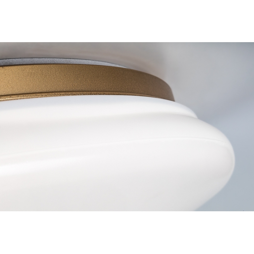 Rabalux - LED-plafondlamp voor de badkamer LED/24W/230V IP44 Ø 41 cm