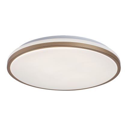 Rabalux - LED plafondlamp voor badkamer LED/18W/230V IP44 Ø 34 cm
