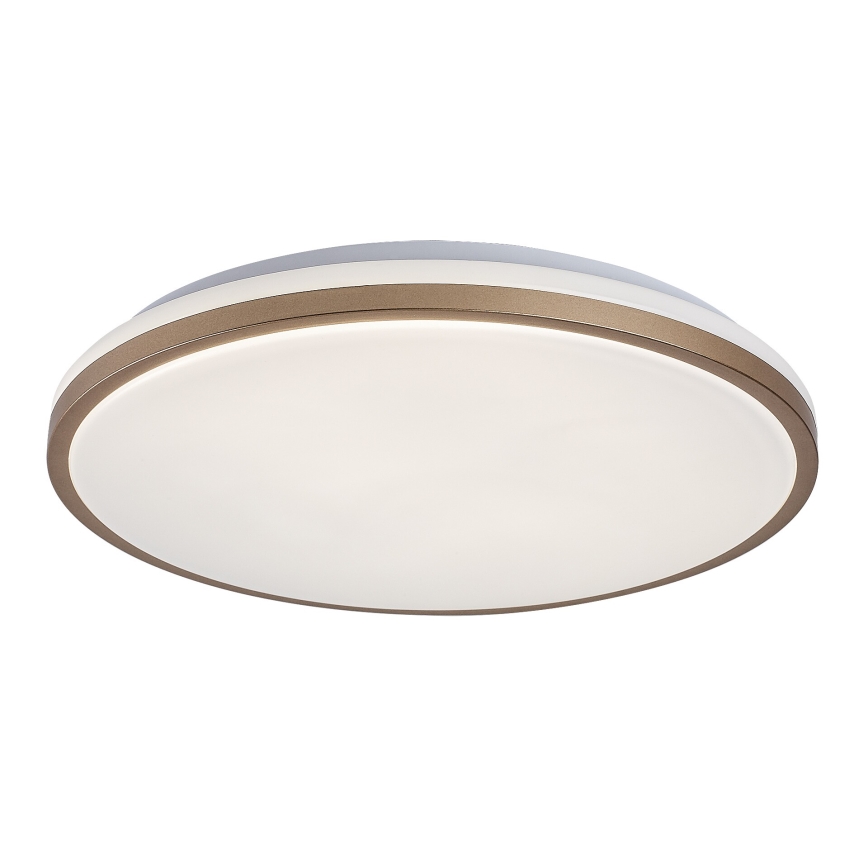 Rabalux - LED plafondlamp voor badkamer LED/18W/230V IP44 Ø 34 cm