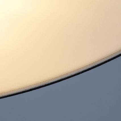 Rabalux - Buitenplafondlamp 2xE27/9W/230V Ø 29 cm IP43 zwart